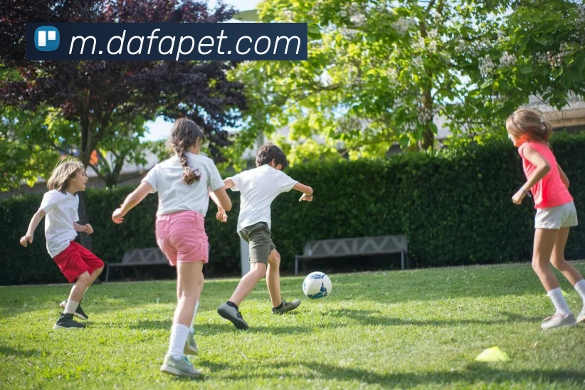 App Interface Preview