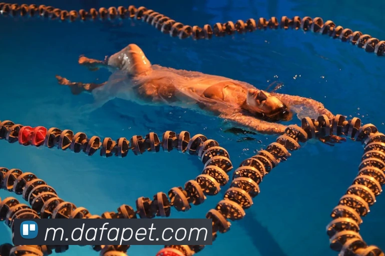 大发彩票官网APP 封面图